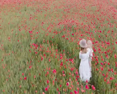 南京市妇幼做试管婴儿成功率最高多少钱啊