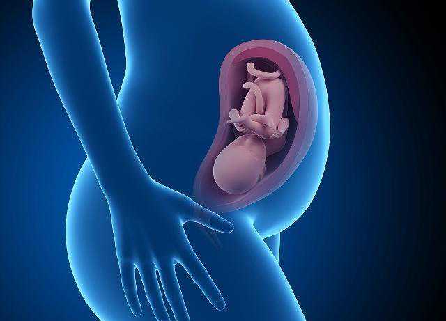 成都供卵试管试管辅助生殖机构如何防止胚胎悬浮？