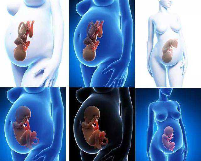 厦门174医院做供卵试管怎样？一次试管费用是多少？